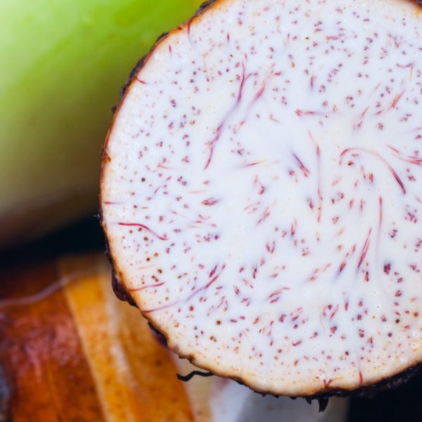 labrador-farms-malanga labrador-farms-malanga